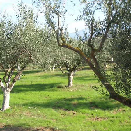 παληοκτημα - Palioktima *