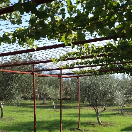 παληοκτημα - Palioktima * Neon Rysion