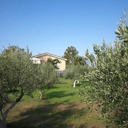 Lejlighed παληοκτημα - Palioktima Neon Rysion