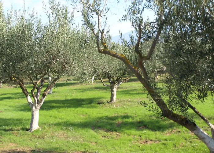 παληοκτημα - Palioktima *