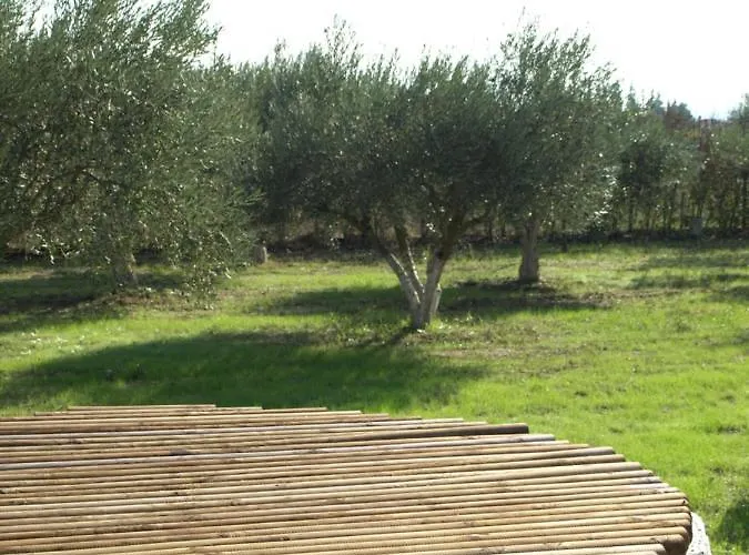 Appartement παληοκτημα - Palioktima Neon Rysion