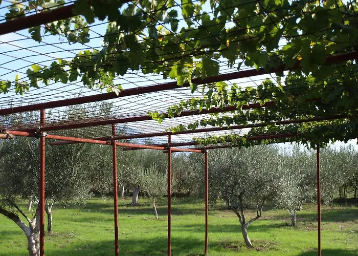 παληοκτημα - Palioktima * Neon Rysion